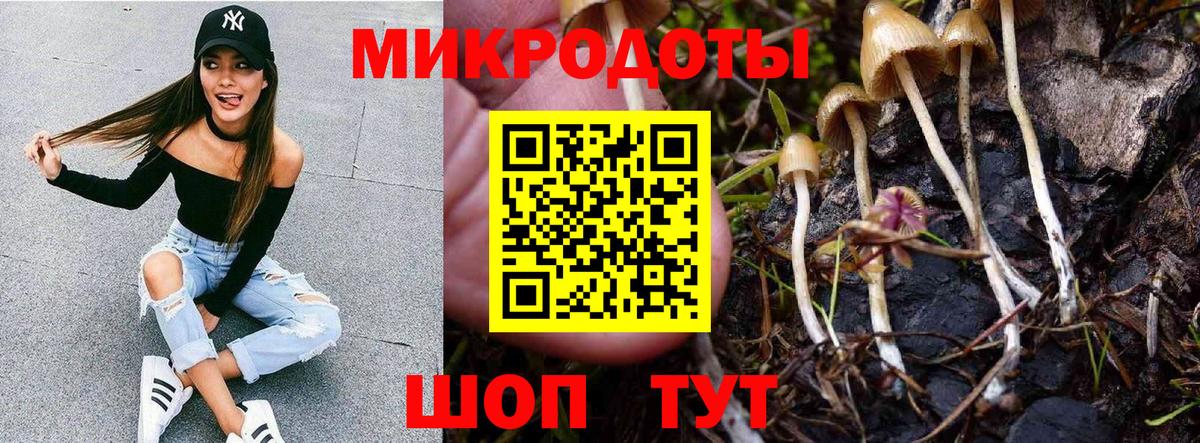 Красный Сулин  Галлюциногенные грибы ЛСД  Вход с VPN  Галлюциногенные грибы Cubensis 